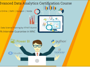 Job Oriented Data Analyst Course in Delhi, 110077.