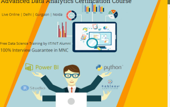 Job Oriented Data Analyst Course in Delhi, 110077.