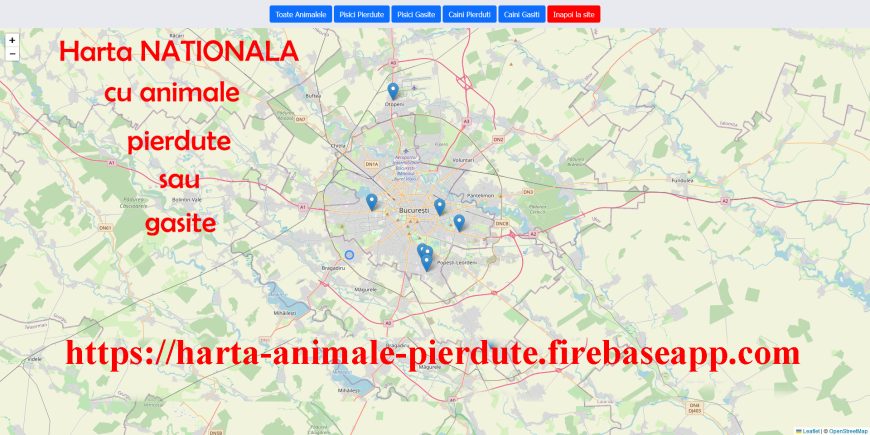 Animale pierdute si animale gasite – harta nationala cu localizarea